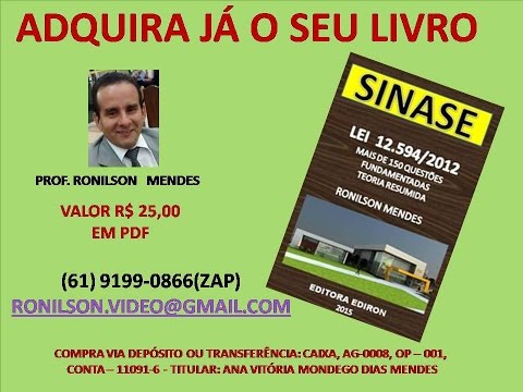 AULA 5 - LEI 12.594/2012 - SINASE- CONSELHO TUTELAR DF  - PLANOS DE ATENDIMENTO -  PROF. RONILSON