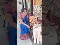 Karthika Deepam Serial Deepa Premi Vishwanath With Her Dog