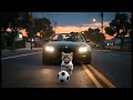 Rogue Dog Attacks Child Shocking Security Footage Catrm Cat Dog Viralvideo Shorts