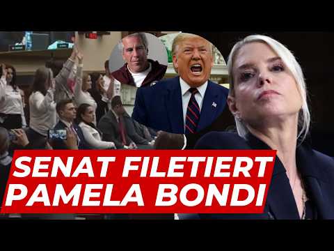 GAME OVER, Donald! Domino-Effekt bringt alle Epstein-Geheimnisse ans Licht!