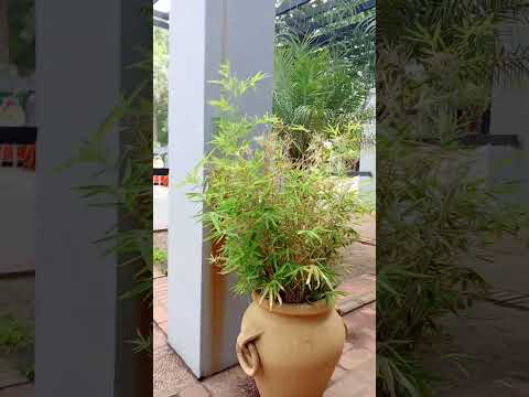 centro Cultural de Ituzaingó Corrientes