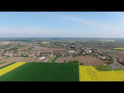 Madárlátta Érmellék - Érkörtvélyes 2.