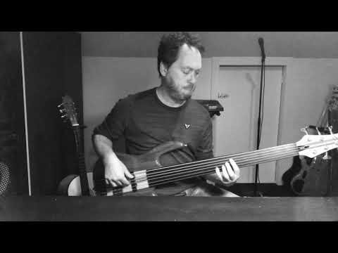 Talk Talk - Call In The Night Boy fretless bass cover