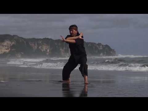 pencak silat styles pencak silat styles