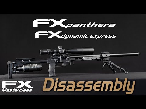 FX Panthera/Dynamic Disassembly - FX Masterclass