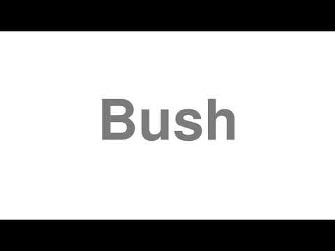How to Pronounce "Bush"