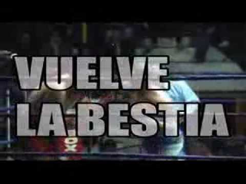 Manuel Pucheta Vs Marcelo Dominguez