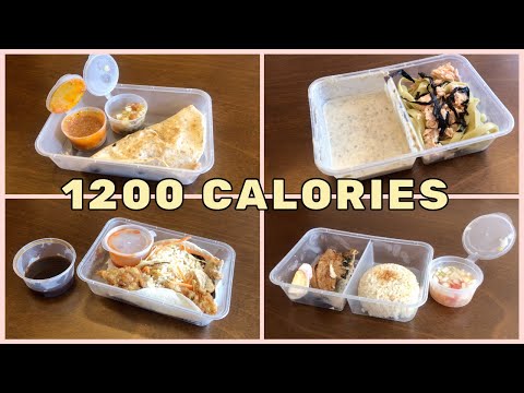 I ATE 1200 CALORIES FOR TWO WEEKS || Here's what happened...