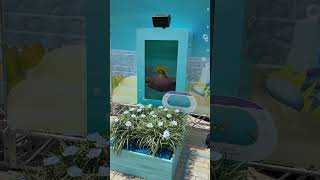 【ぽこポケ】リアル「生息地づくり」を横浜・赤レンガ倉庫で体験！【マッギョ】