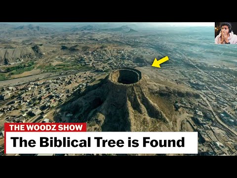 The Tree From Biblical Times Is Found❗❗😱 Angels Sliced It...