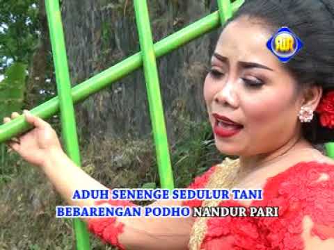 Sri Asih - Jago Kluruk | Dangdut (Official Music Video)