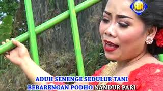 Download lagu Sri Asih - Jago Kluruk | Dangdut ( Music Video) mp3
