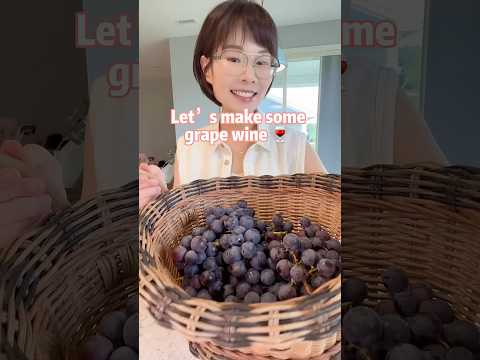 Homemade grape wine 🍷 Let’s make some 2 ingredients grape wine: 🍇 + sugar~