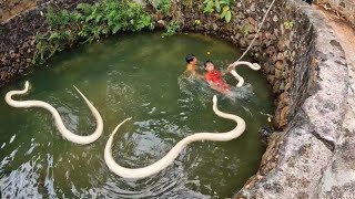 3 Brave Hunters Rescue Giant White Snake Under Water Tank