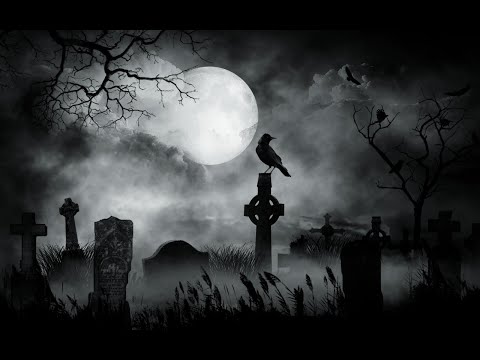 Новости ковидария