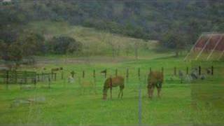 Spring in Calaveras County