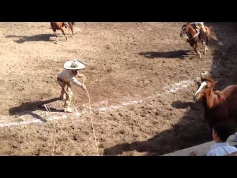 Manuel Urista Pacheco - Manganas a pie - Charreada en Colotlan JAL