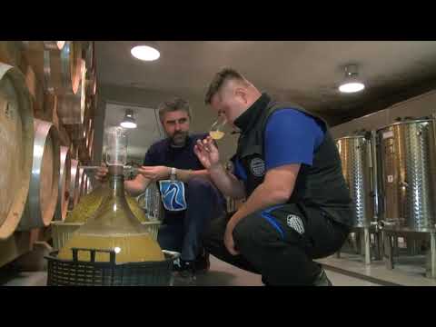 Proizvodnja vina i podsticaji proizvođačima