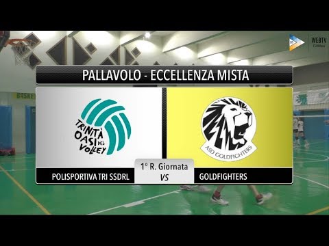 Sintesi Polisportiva Tri Ssdrl - Goldfighters