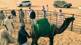طرح حشوان 2