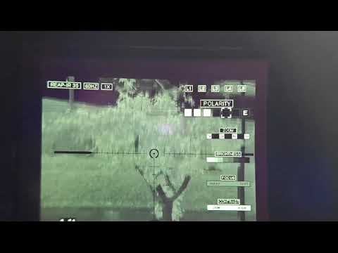 Trijicon REAP-IR MINI35 thermal imaging scope