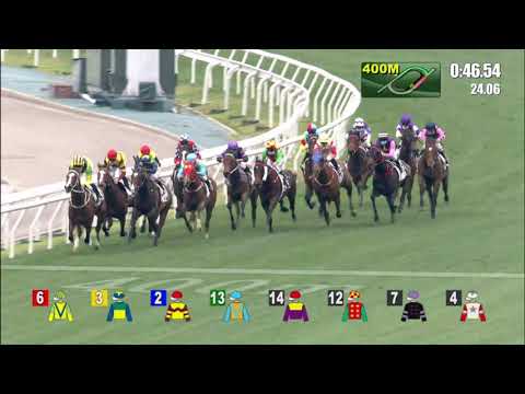 14/2/2021 (424) Fantastic Treasure - C Schofield