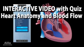 NEW! INTERACTIVE VIDEO: Heart Anatomy and Blood Flow
