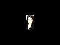 Revive Us Again- Carla Sings Snippet