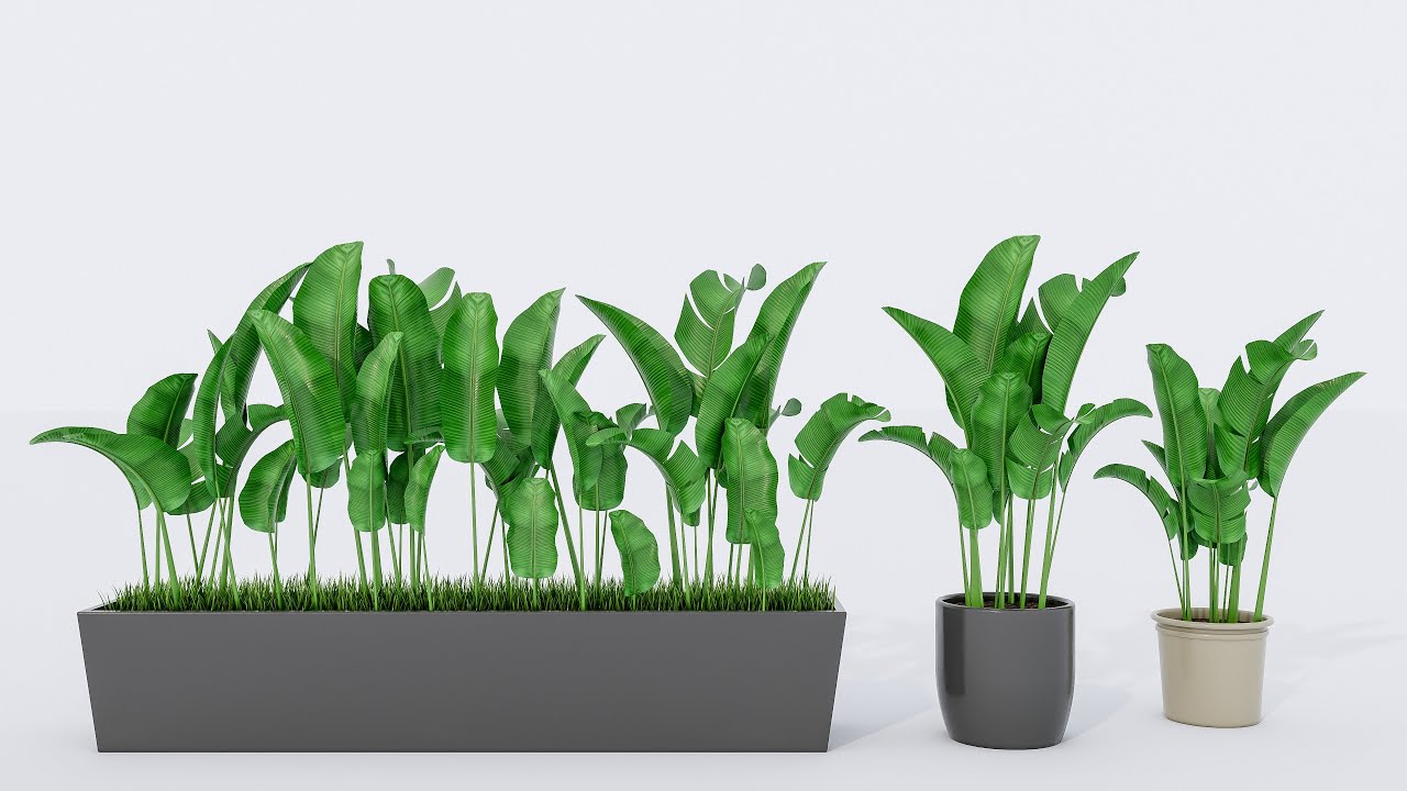 Verzameling van planten in pot 1 3D Model