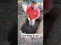 We use this to help us know when to stop digging #youtubeshorts #artifacts #arrowhead #digging #fyp