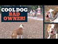 Idiot Dog Owner Won T Restrain Dog Tells Me To Leave The Park