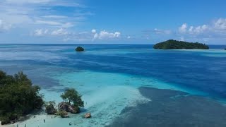 preview picture of video '2018.6 帛琉 Palau 星象島 自由潛水( freediving in carp island) GoPro hero6 DJI SPARK'