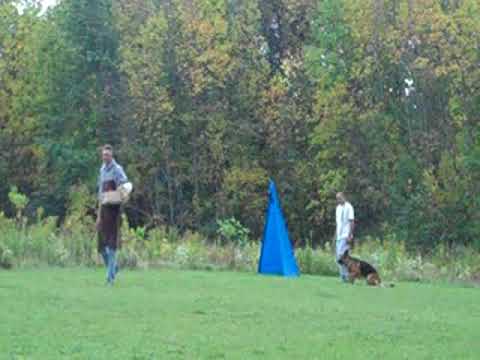 Iron Von der Stadtrand Schutzhund Protection