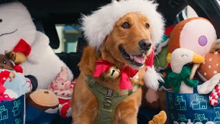 Petco Where The Pets Go To Unleash The Merry