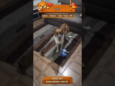 Vídeo de spike