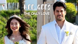 ❤⚘Bee Gees - The Only  Love - Tradução ( O único amor)⚘❤@Babylove49