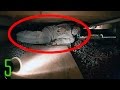 5 Creepiest Secrets Hiding in Plain Sight