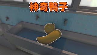 你敢点击这个鸭子吗？
