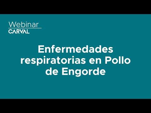 , title : 'Enfermedades respiratorias en Pollo de Engorde - Dr Rafael Fernandez'