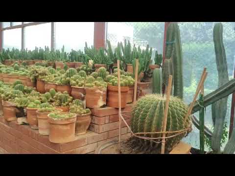 ভিডিও প্রিভিউ ভিডিও