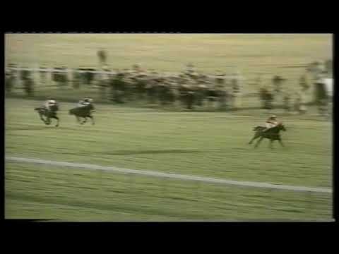 1979 Mandarin Handicap Chase Newbury Zongalero