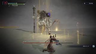 エルデンリング ナイトレイン　復讐者練習