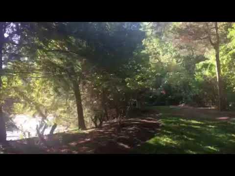 Phillips Pond Natick