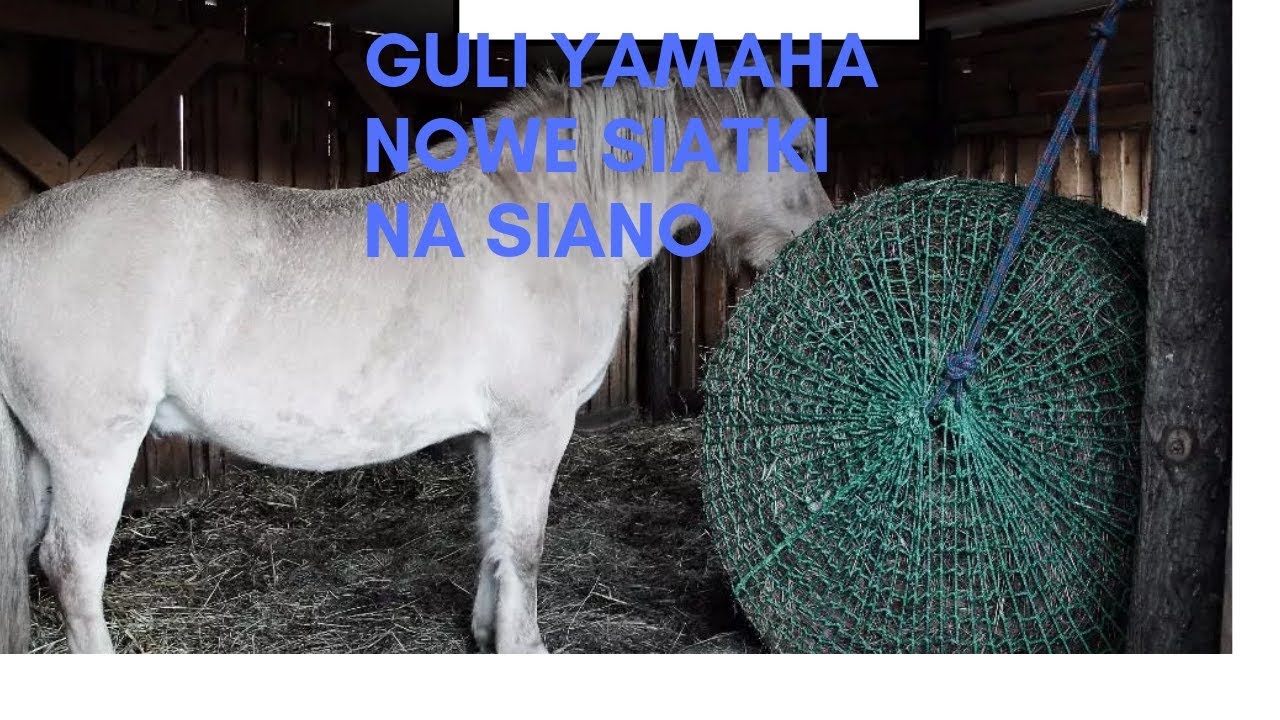 Nowe siatki na siano dla koni