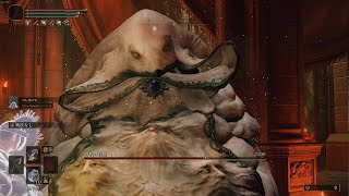 エルデンリング  神肌の貴種 睡眠お遊びプレイ EldenRing 【PC】