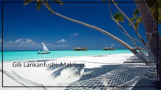 Gili Lankanfushi Maldives | The #1 Luxury Resort in Maldives