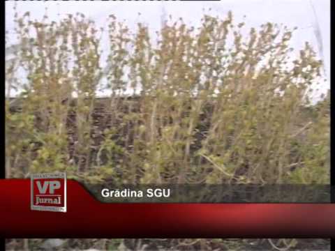 Grădina SGU