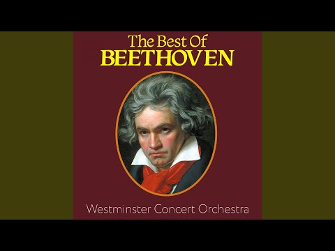 Symphony No. 6 in F major, Op.68: 'Pastoral' 1st Movement