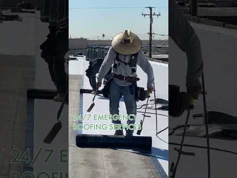 Amazing Shingle Roofing — California First Roofing