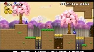 Newer super mario bros. wii 時間停止バグ
